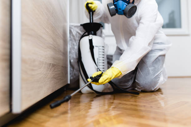 Best Affordable Pest Control Services  in Champlin, MN