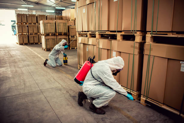 Best Ant Control Services  in Champlin, MN