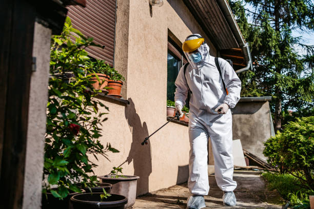 Reliable Champlin, MN Pest Control Solutions