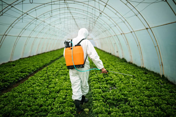 Best Best Pest Control Companies  in Champlin, MN