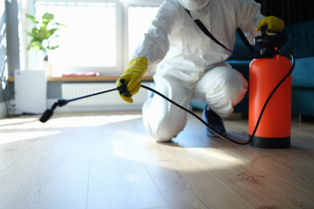 Best Flea Control Services  in Champlin, MN