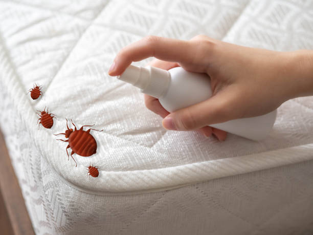 Pest Prevention Services in Champlin, MN